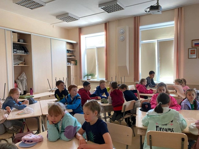 День робототехники.